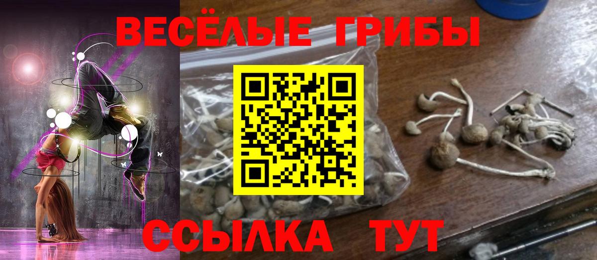 Псилоцибиновые грибы Psilocybine cubensis  Вход с VPN  Самара  Галлюциногенные грибы мухоморы 